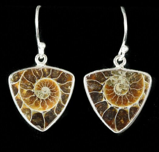 Fossil Ammonite Earrings - Sterling Silver #48753
